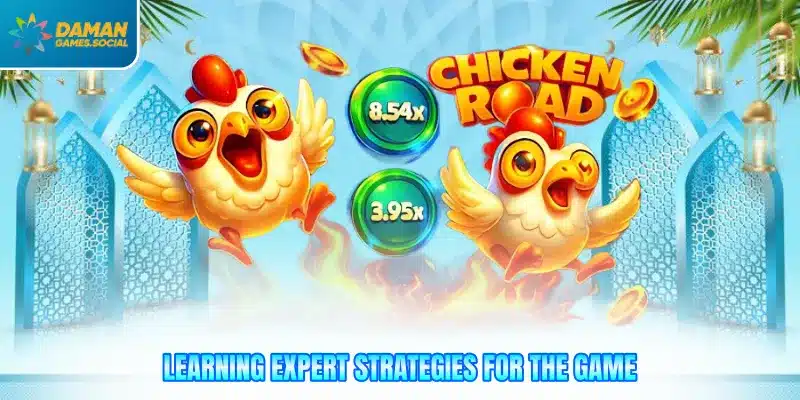 Learning expert strategies for the game