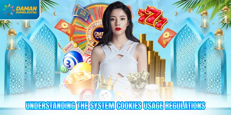 Understanding the system cookies usage regulations